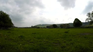 Beyaz at ve bir alanı görüntülemek, Birleşik Krallık, İngiltere