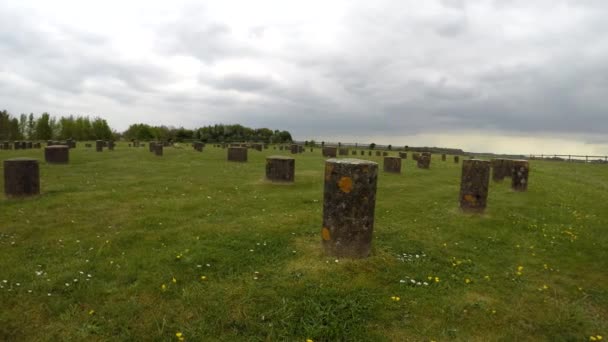 Woodhenge, İngiltere'de, yaz görünümü — Stok video