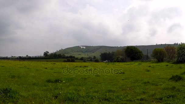 O cavalo branco e uma vista de campo, Reino Unido, Inglaterra — Vídeo de Stock