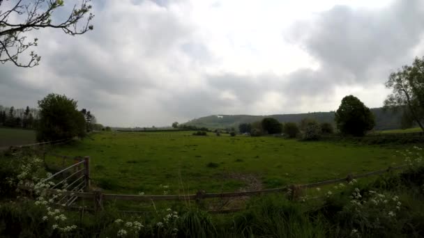 O cavalo branco e uma vista de campo, Reino Unido, Inglaterra — Vídeo de Stock