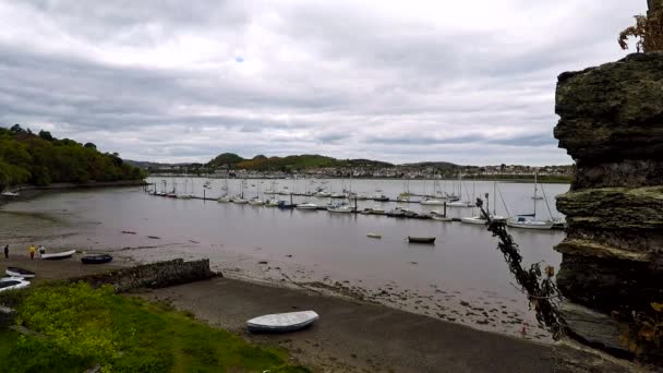 Conwy harbour, május 2017 — Stock videók