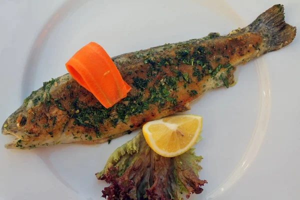Grilled trout fish/ Grilled trout  as main course  served in italian restaurant