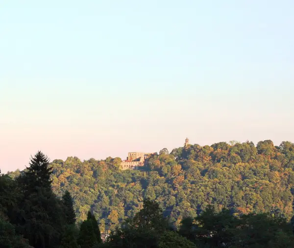 Castello medievale nella foresta — Foto Stock