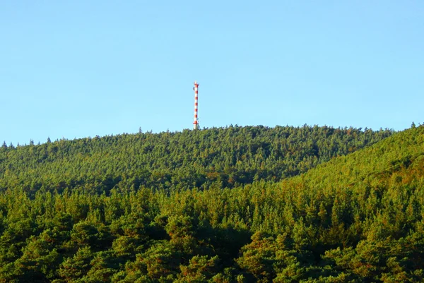 Ormanın içinde anten direği — Stok fotoğraf