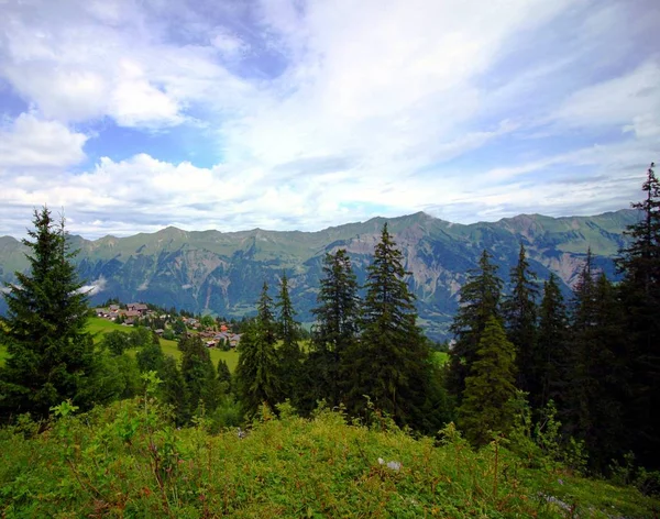 Sommer in den Bergen — Stockfoto