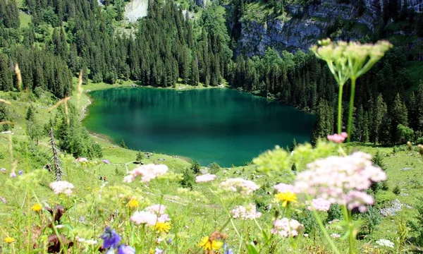 Lago en las montañas suizas — Foto de Stock