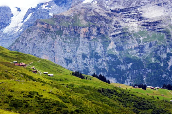 Im Hochgebirge — Stockfoto