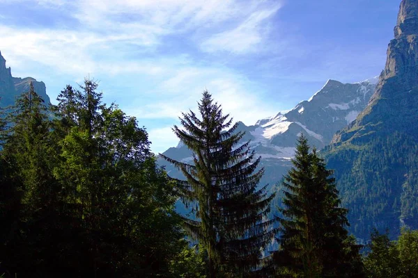 スイスの山では — ストック写真