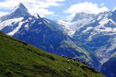 İsviçre dağlarında