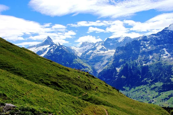 In the Swiss mountains — Stock Photo, Image