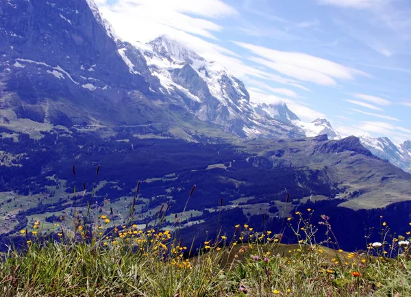 İsviçre dağlarında — Stok fotoğraf