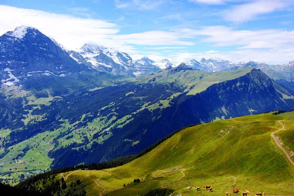 スイスの山では — ストック写真