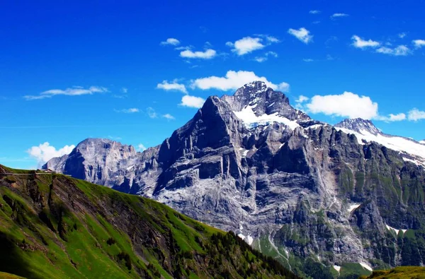 İsviçre dağlarında