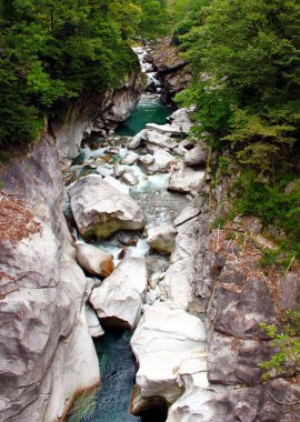 Vahşi dağ dere Ticino'deki/daki oteller