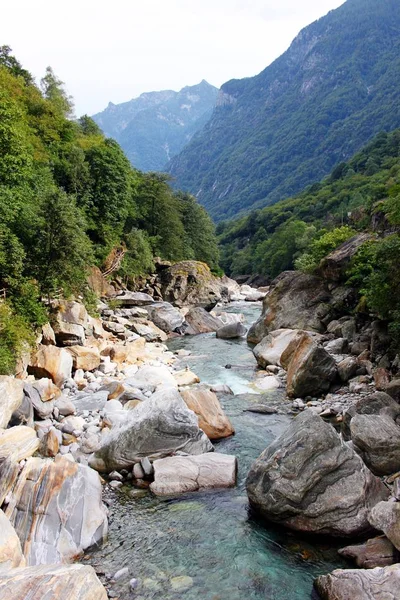 stock image Wild mountain stream in Ticino