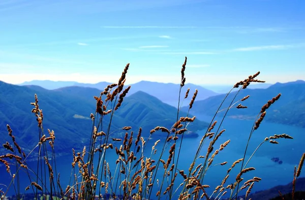 Veduta del Lago Maggiore — Foto Stock