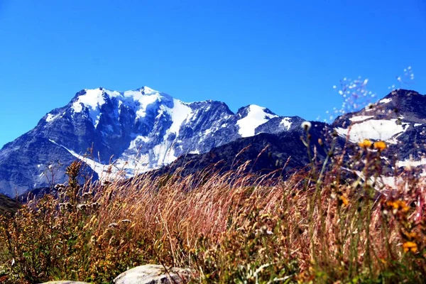 Dağlarda yaz — Stok fotoğraf