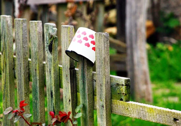 Gartenzaun mit Topf — Stockfoto