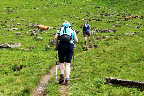 Caminhadas nas montanhas — Fotografia de Stock