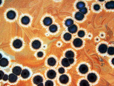 Kahverengi noktalar ile arka plan