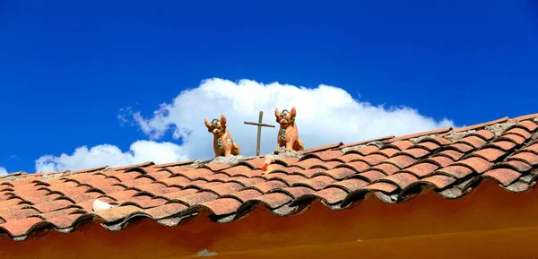 Peruanischer Glückspilz Auf Dem Dach lizenzfreie Stockbilder