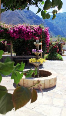 Çiçek sihirli Andes 