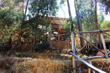 Ormanın içinde bambu kulübe