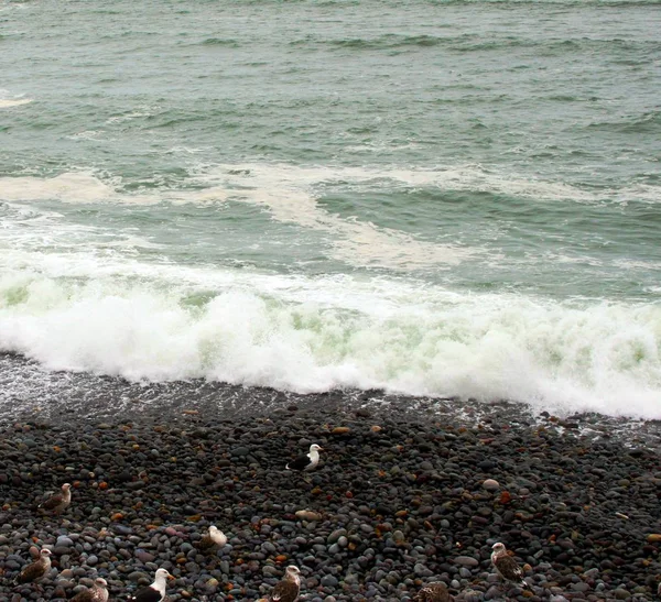 Spiaggia Del Pacifico Lima — Foto Stock