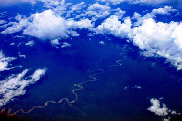 아마존을 — 스톡 사진