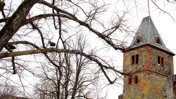 Stara Wieża Zimie — Zdjęcie stockowe