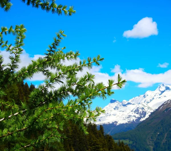 Montañas Fantásticas Suiza —  Fotos de Stock