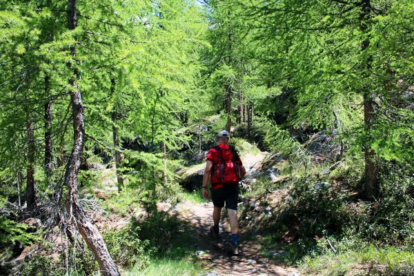 Caminhadas Valais Suíça — Fotografia de Stock