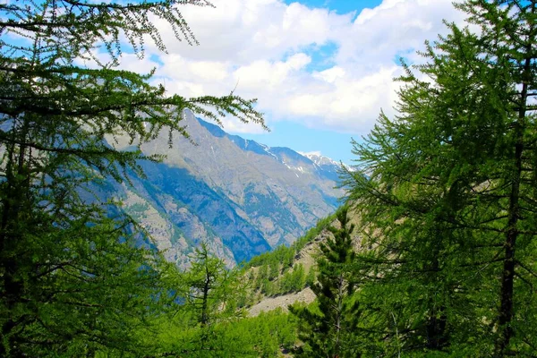 Sviçre Yüksek Dağlarda — Stok fotoğraf