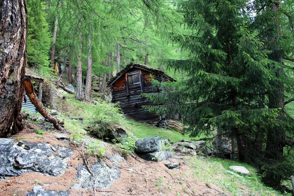 Alpenarchitectuur Van Zwitserland — Stockfoto