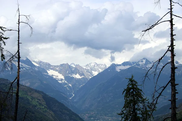 スイスの高い山は — ストック写真