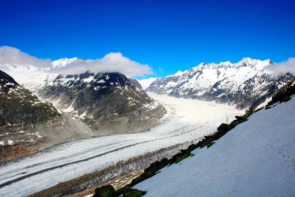 Ледник Алеч Швейцарии — стоковое фото