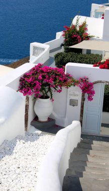 Bougainvillae ve Yunanistan 'da evler