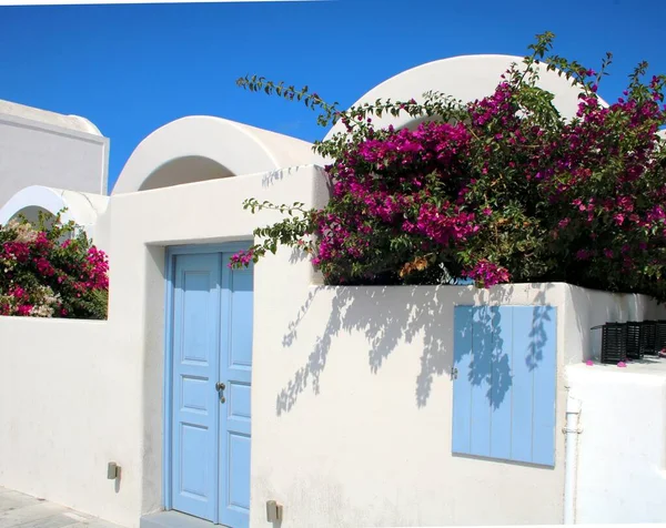 Bougainvillae Casas Grecia — Fotografia de Stock