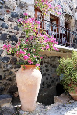 Bougainvillae ve Yunanistan 'da evler