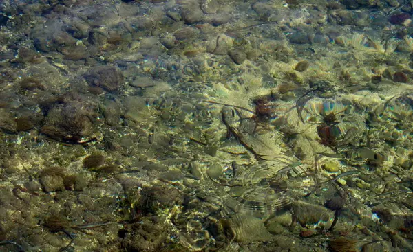 Agua Mar Clara Del Mediterráneo — Foto de Stock