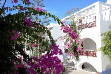 Santorini 'de Akdeniz Kiklad mimarisi