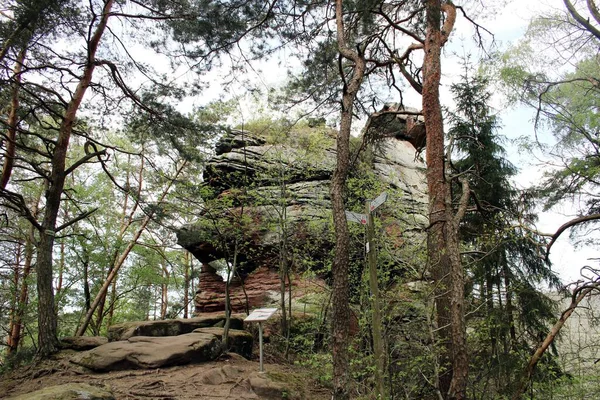 Rocas Buntsandstein Bosque Palatinado — Foto de Stock