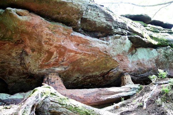 Palatate ForestのBuntsandstein岩 — ストック写真