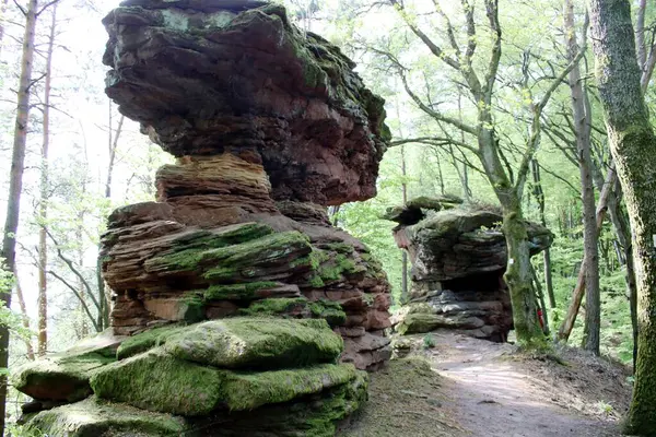 Buntsandstein Rocks Palatinate Forest — Stock Photo, Image