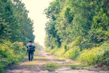 Görüntü Grubu arkadaşı ağır bir sırt çantasıyla vahşi doğada yürüyor