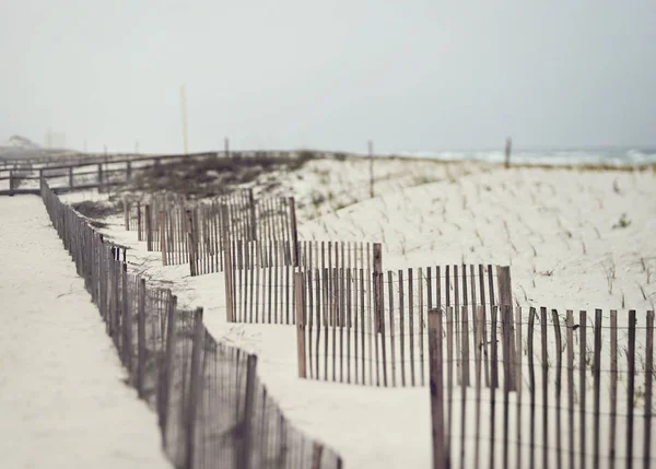 Les clôtures de sable empêchent l'érosion sur la plage de Floride — Photo