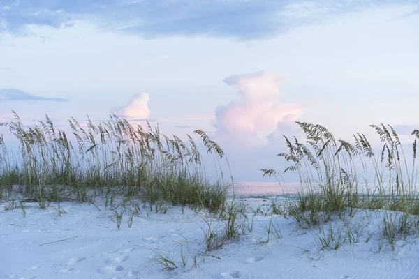 Pôr-do-sol pastel na cena da praia da Flórida com aveia do mar e dunas de areia — Fotografia de Stock