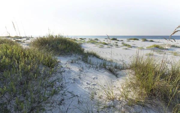 Napsütéses reggel homok dűnék Pensacola Beach — Stock Fotó