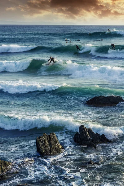 Un gruppo di surfisti che si godono ondate di sardine — Foto Stock