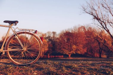 Ayrıntı tekerlekli bisiklet üzerinde yeşil çimenlerin üzerinde bulanık renkli bir
